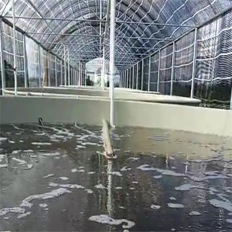 鱼池恒温养殖热水工程解决方案