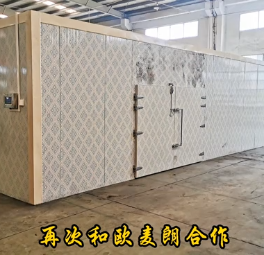 欧麦朗韩妍股份活性炭烘干二期